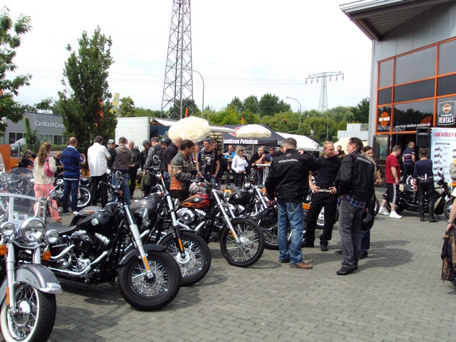 Harley on Tour_4.JPG -                                